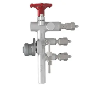 Steam Pipeline Connector for Inline Steam Trap Isolation for Maintenance