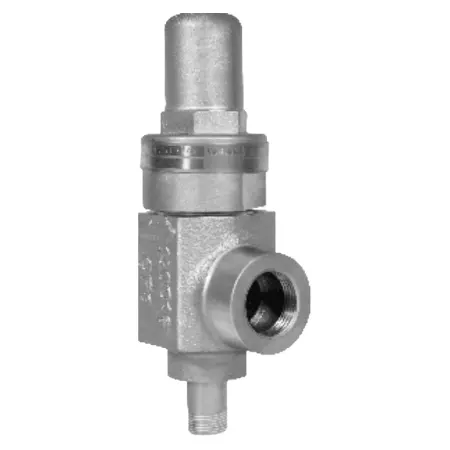 Thermal Relief Valve