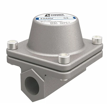 Air Vents for Steam Systems FMAV