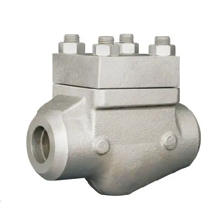 Non Return Valve