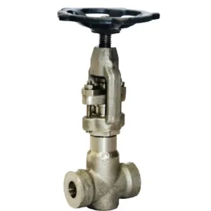 High Pressure ASME certified Globe Valves for Sampling Systems