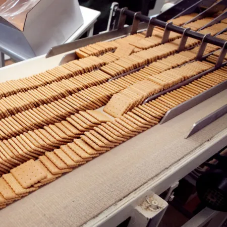 Indonesia cracker case study Crackers moving along a conveyor belt in a food manufacturing facility.
